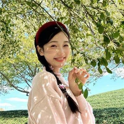 社会中坚